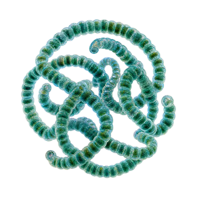 Spirulina motif