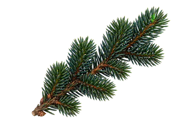 Spruce Needle motif