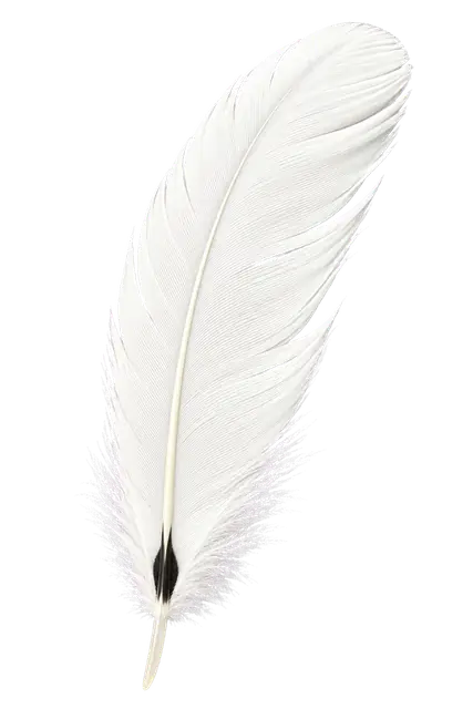 Swan motif
