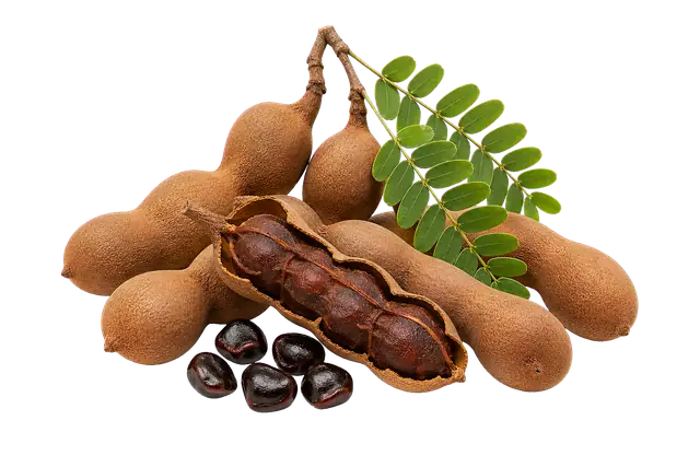 Tamarind Pod motif