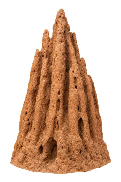 Termite Mound motif