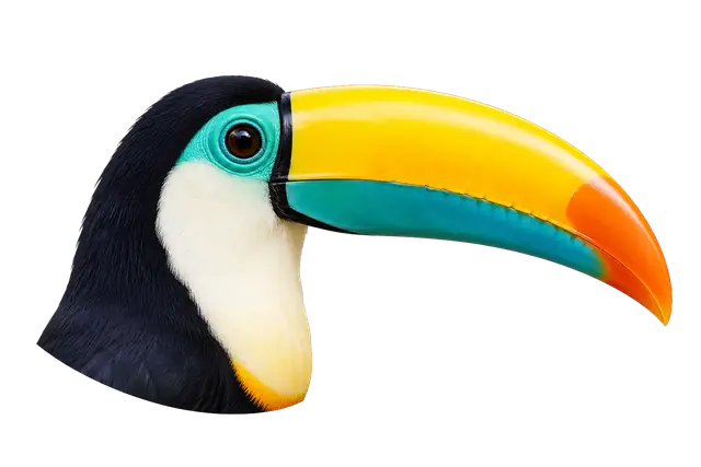 Toucan motif
