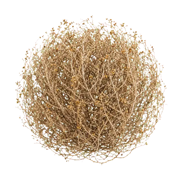 Tumbleweed motif