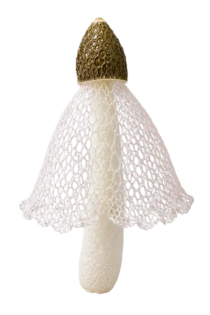 Veiled Lady motif