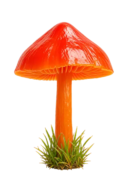 Waxcap motif