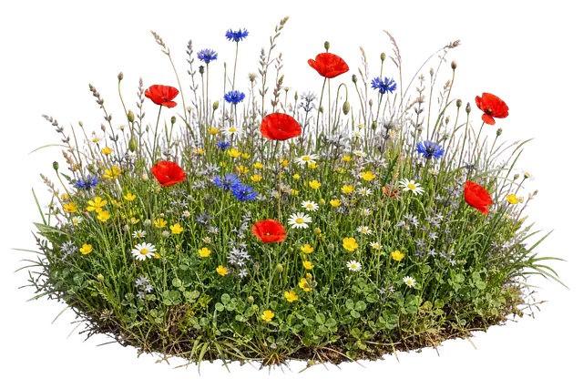 Wildflower Field motif