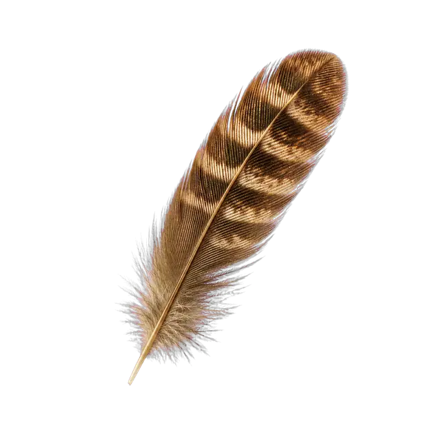 Wren Feather motif