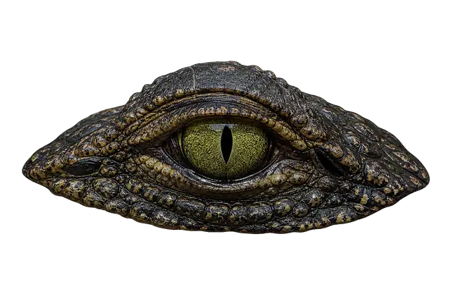 Alligator Eye motif